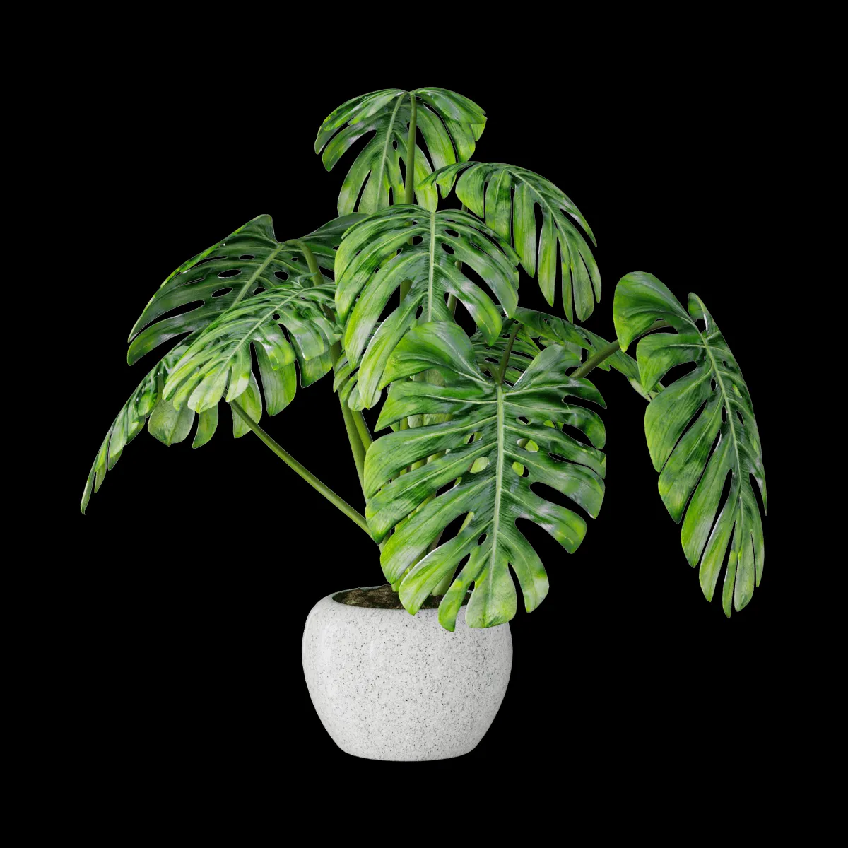 decoration – Plant Monstera 01 3ds Max