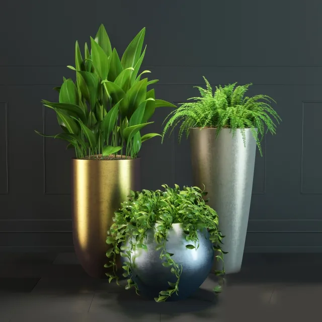 decoration – Plant Set 0 01 3ds Max