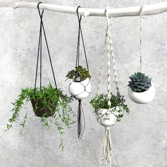 decoration – Plant Set 004 3ds Max