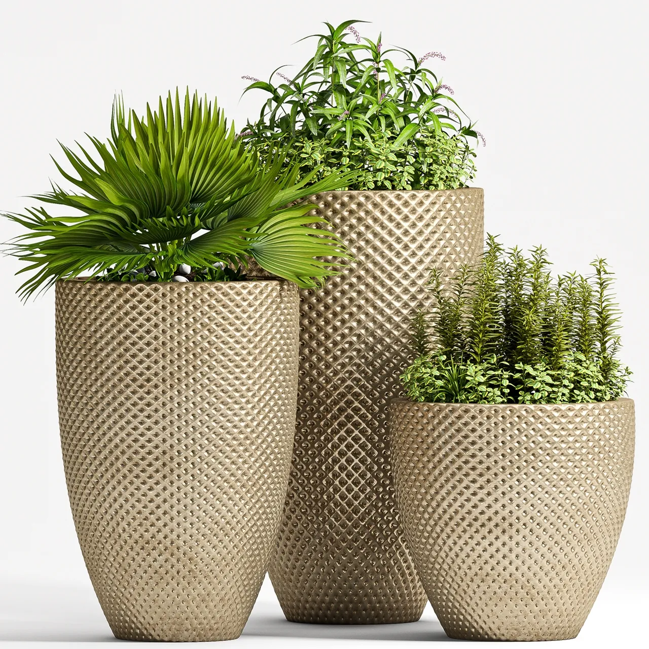 decoration – Plant Set 1 01 3ds Max