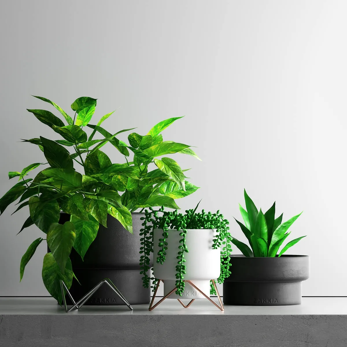 decoration – Plant Set 1 23 3ds Max