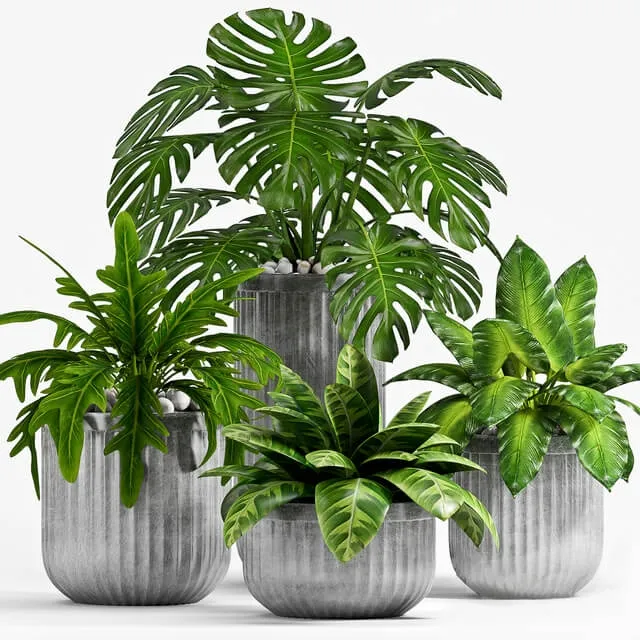 decoration – Plant Set 100 3ds Max