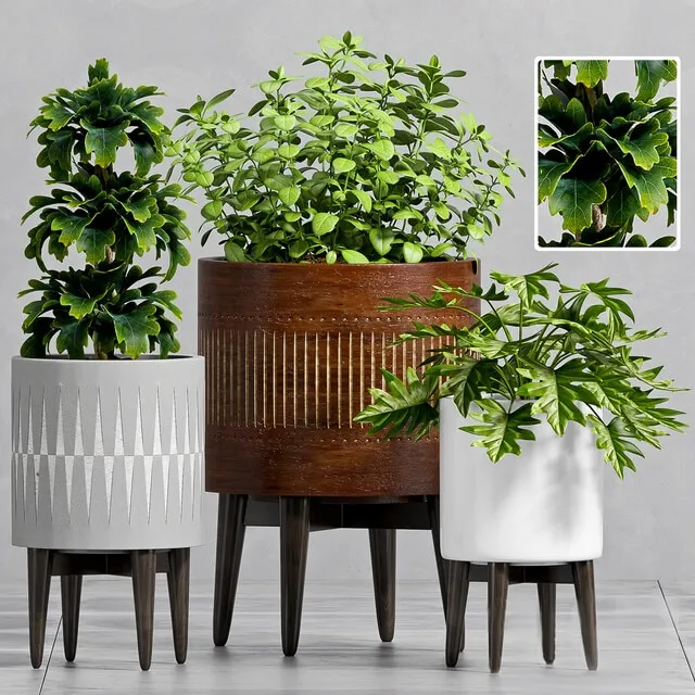 decoration – Plant Set -102 3ds Max