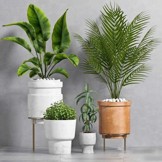 decoration – Plant Set -103 3ds Max