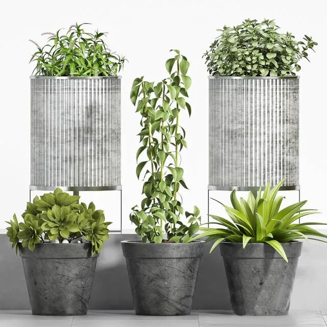 decoration – Plant set -105 3ds Max
