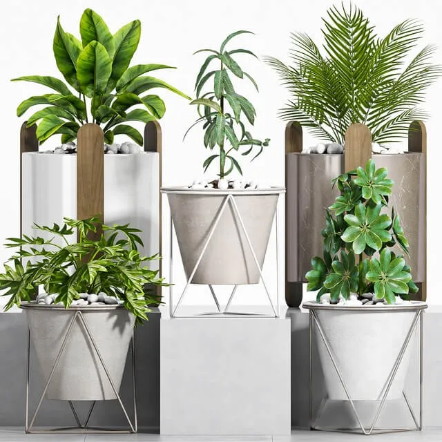 decoration – Plant set-106 3ds Max