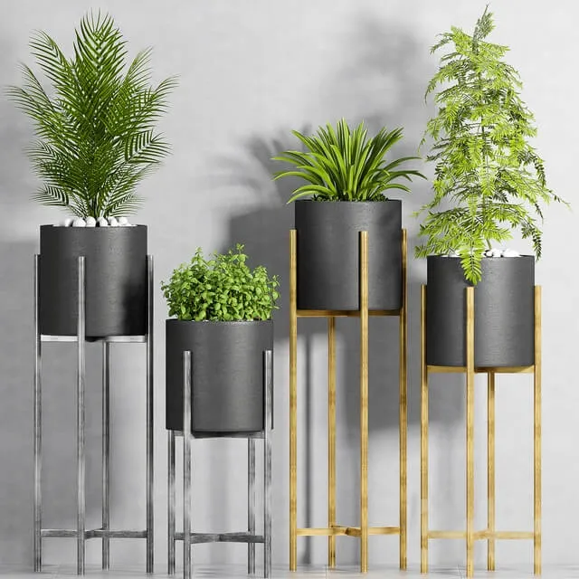 decoration – Plant set-107 3ds Max