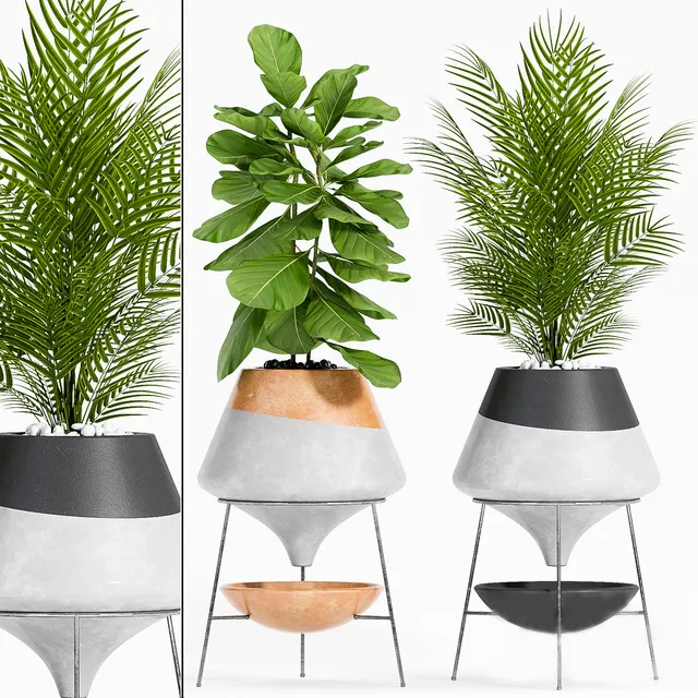 decoration – PLANT SET-108 3ds Max
