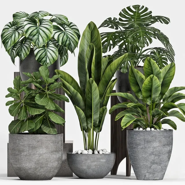 decoration – Plant set-112 3ds Max