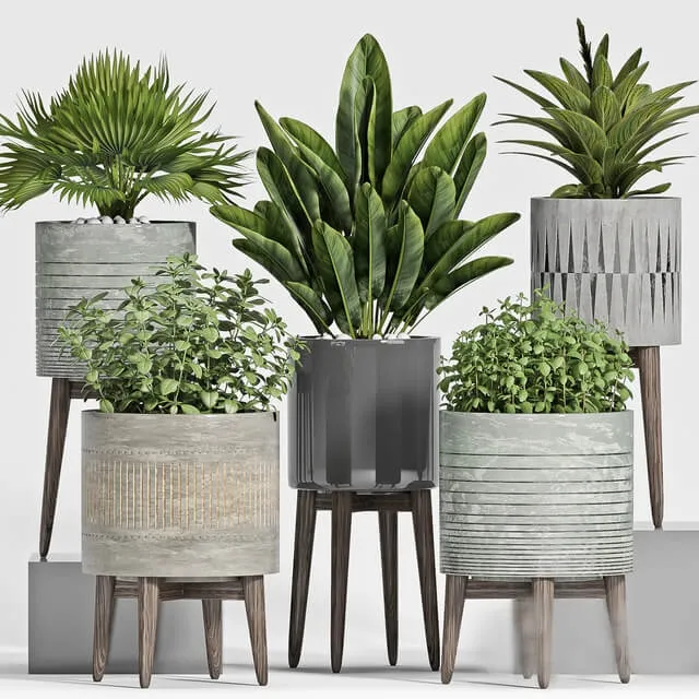 decoration – Plant Set 113 3ds Max