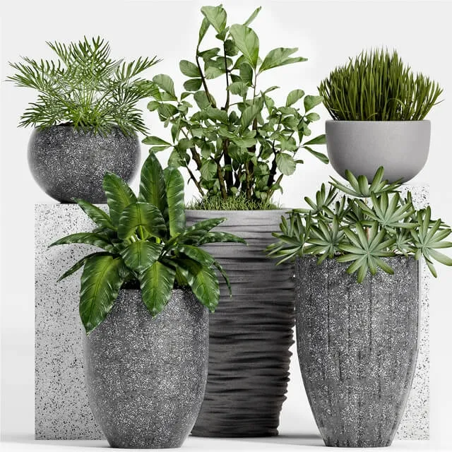 decoration – Plant Set -115 3ds Max