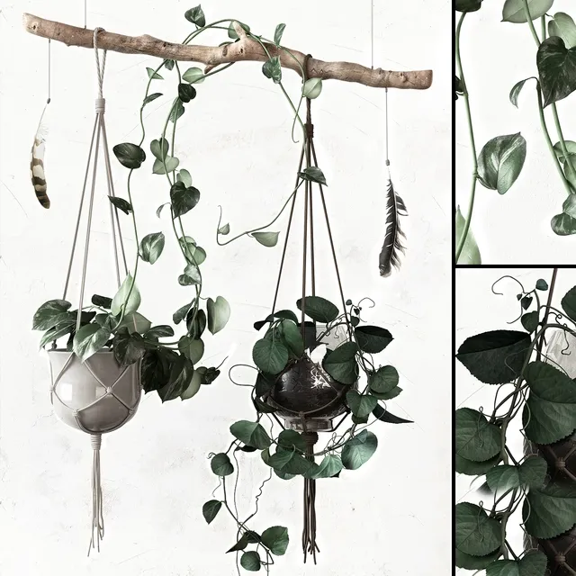 decoration – Plant set 3ds Max