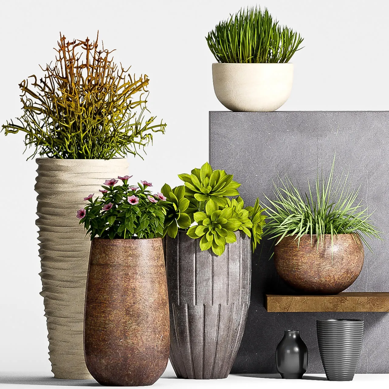 decoration – Plant Set – 63 3ds Max