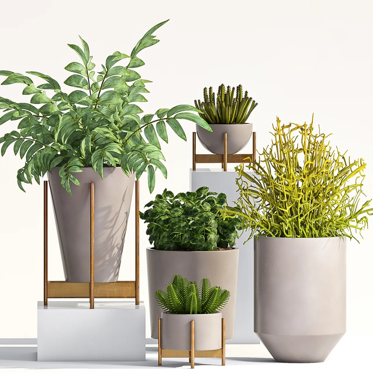 decoration – Plant Set -66 3ds Max