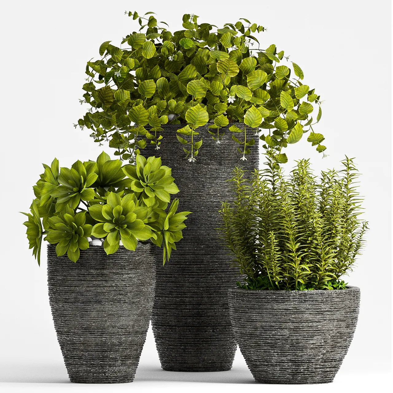 decoration – Plant Set – 75 3ds Max