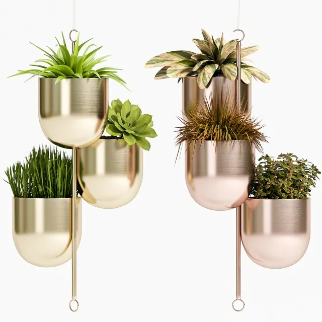 decoration – PLANT SET -79 3ds Max