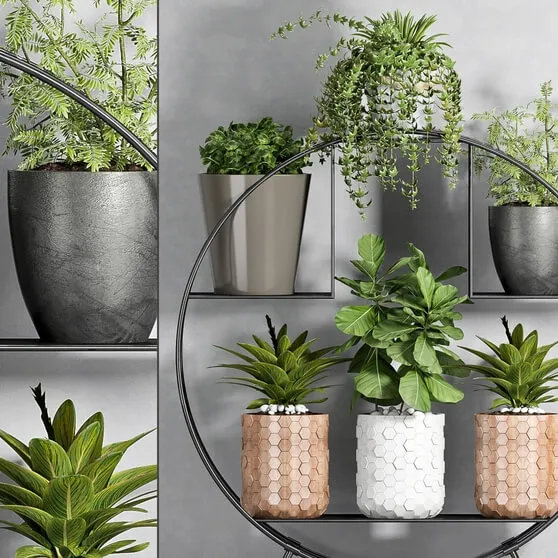 decoration – Plant set 88 3ds Max