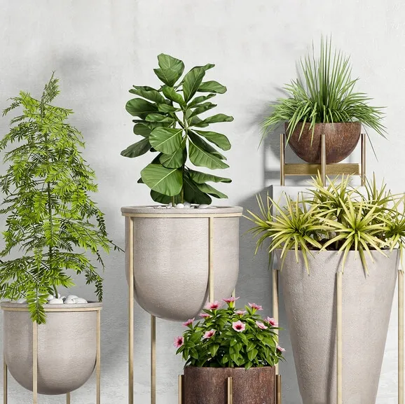 decoration – Plant Set – 90 3ds Max