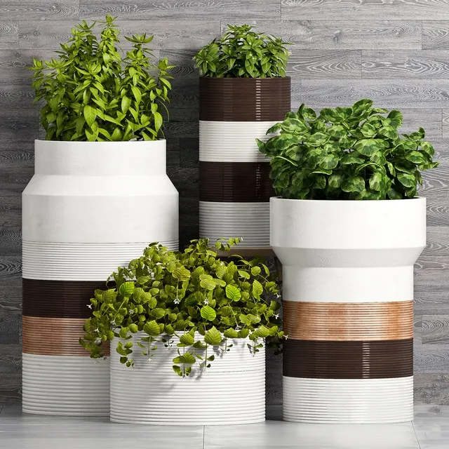 decoration – Plant Set -93 3ds Max