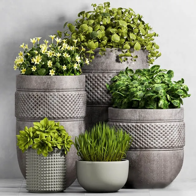 decoration – Plant  Set -96 3ds Max