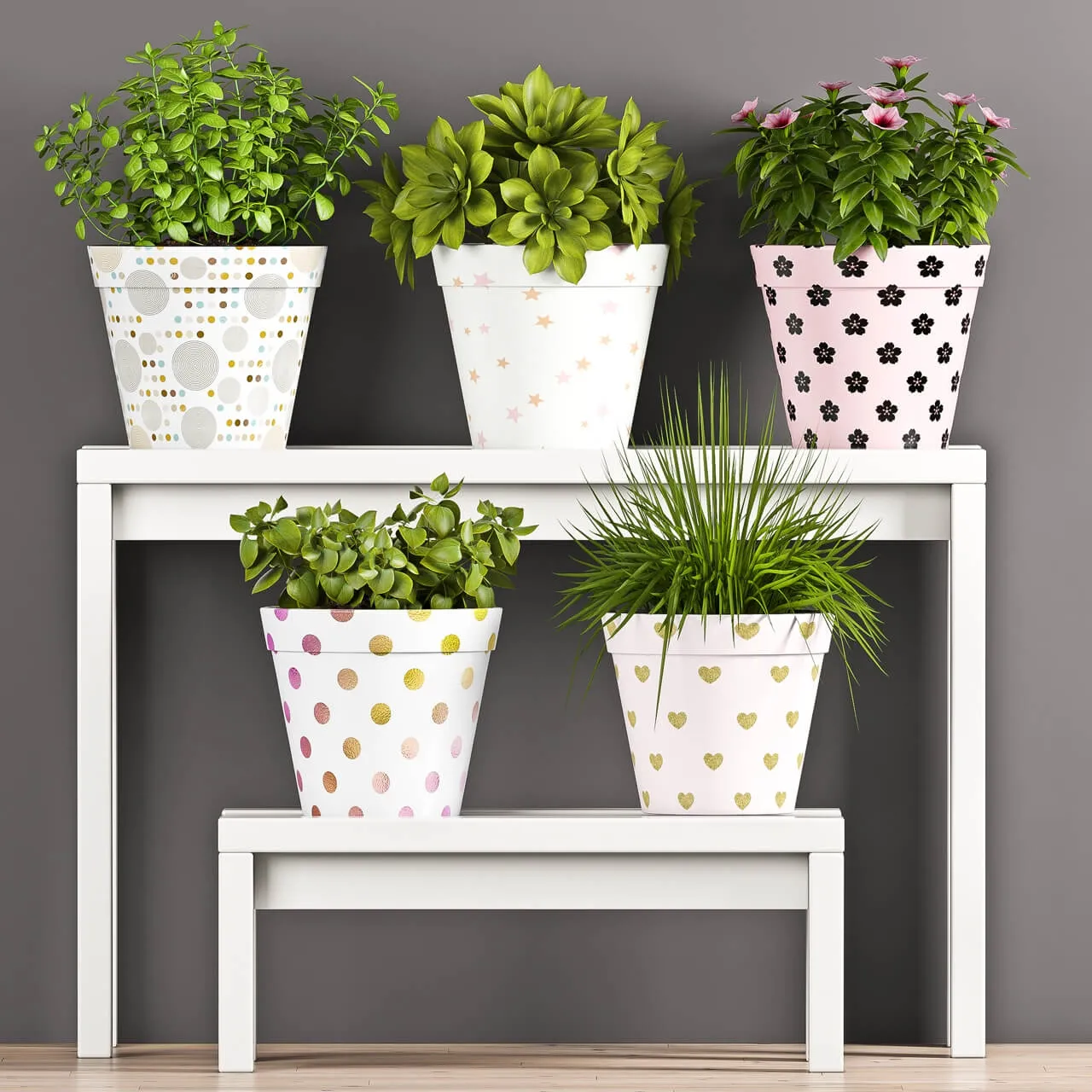 decoration – Plant Set _ 69 3ds Max