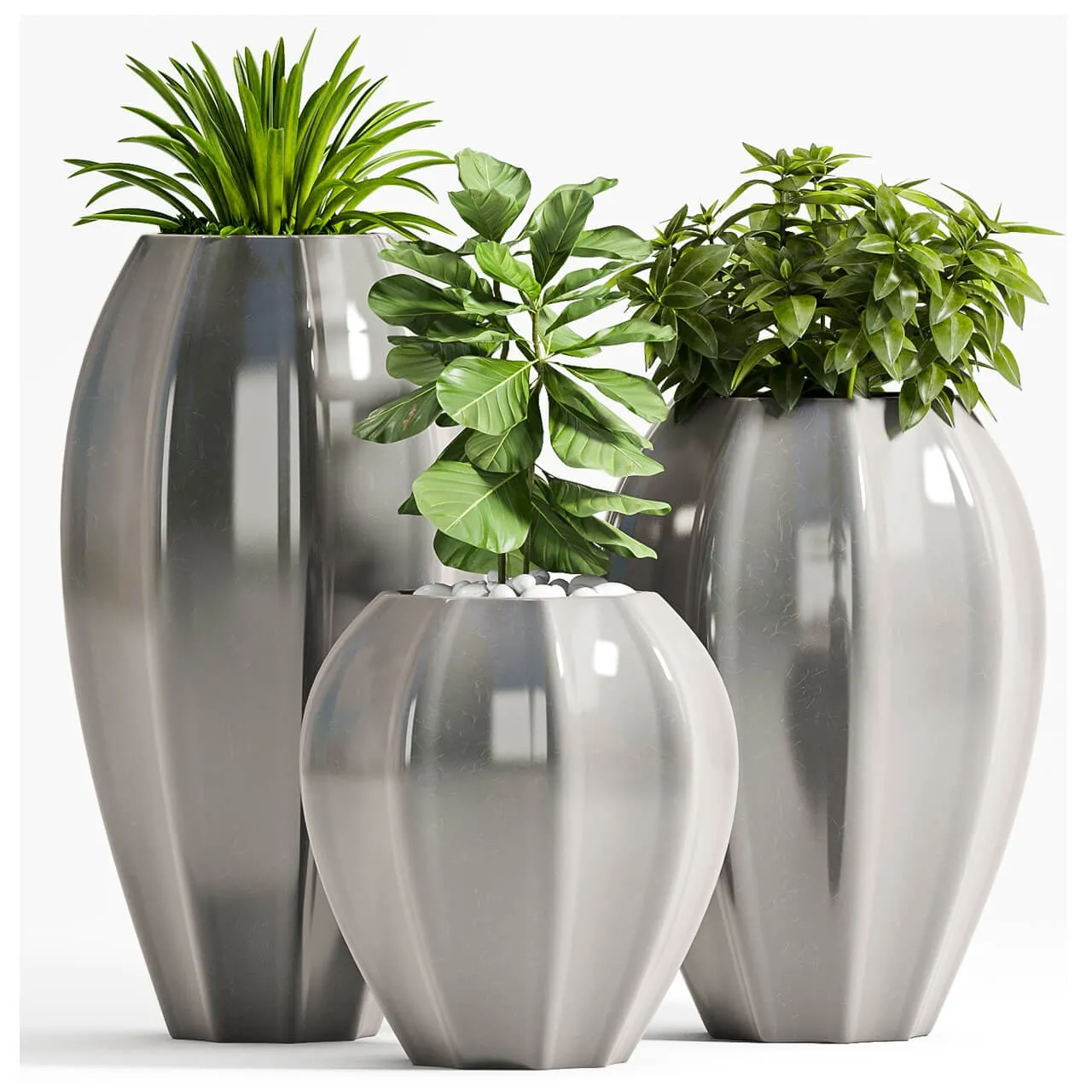 decoration – Plant Set _70 3ds Max