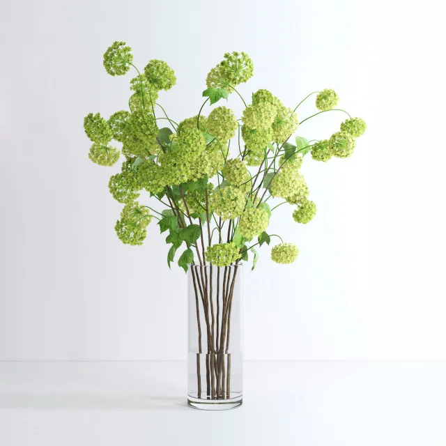 decoration – Plant viburnum 01 3ds Max