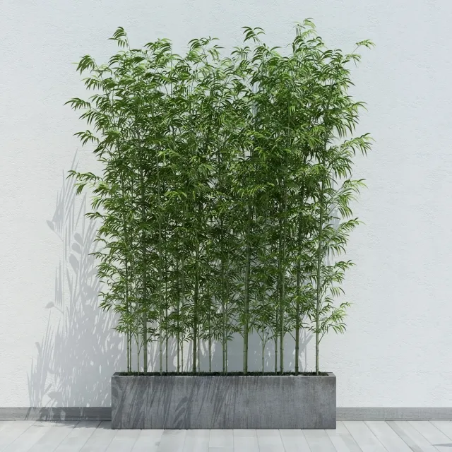 decoration – Plant_32 3ds Max