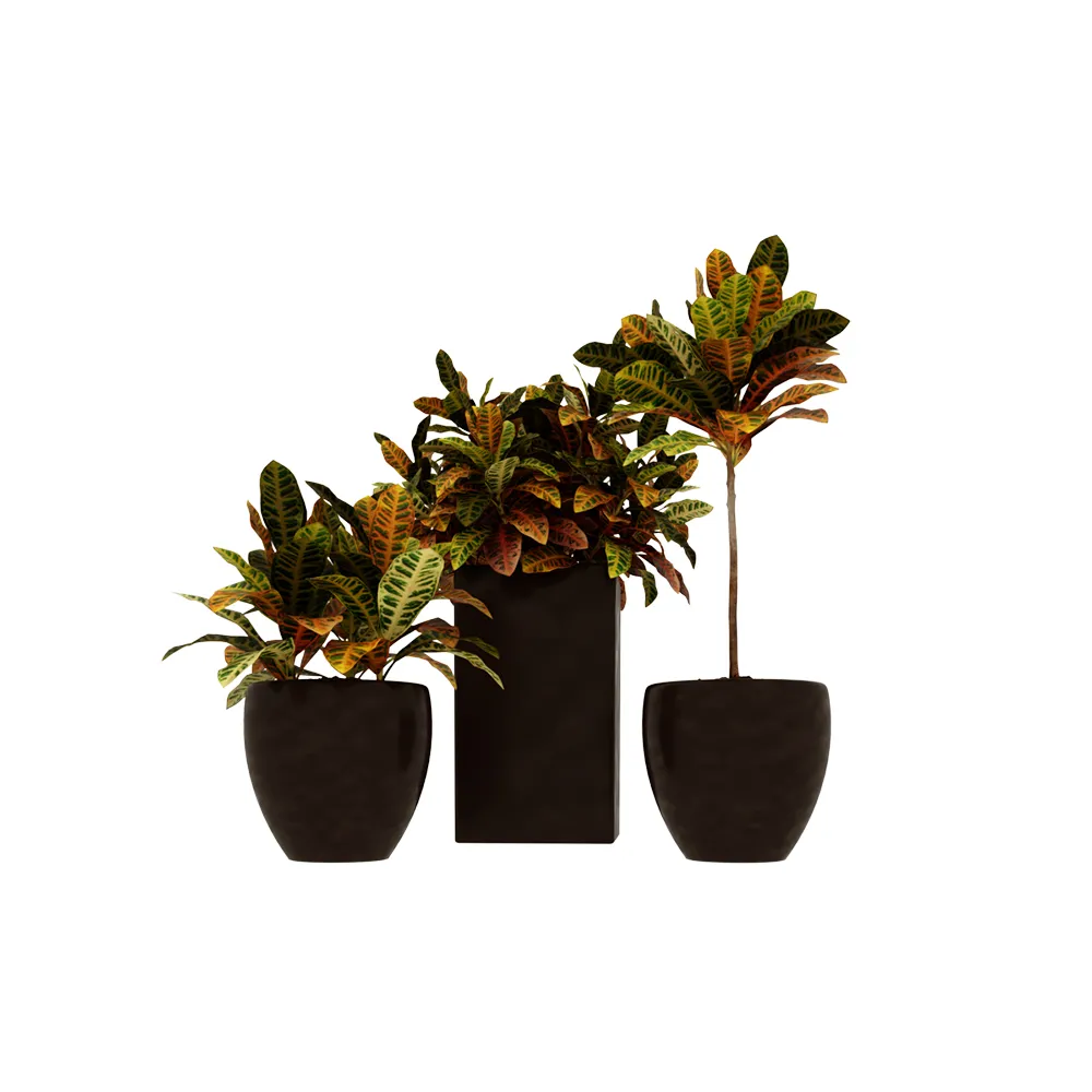 decoration – Plants 006 3ds Max