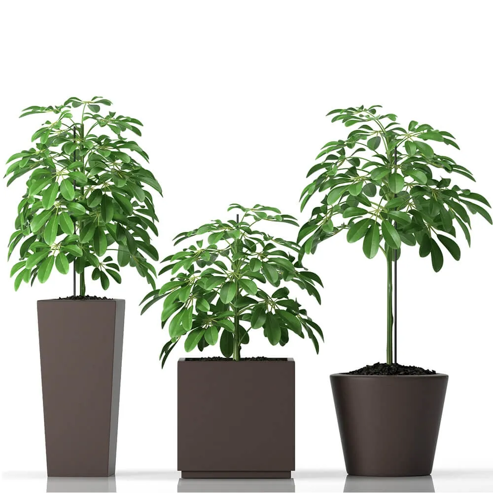 decoration – Plants 0414 3ds Max