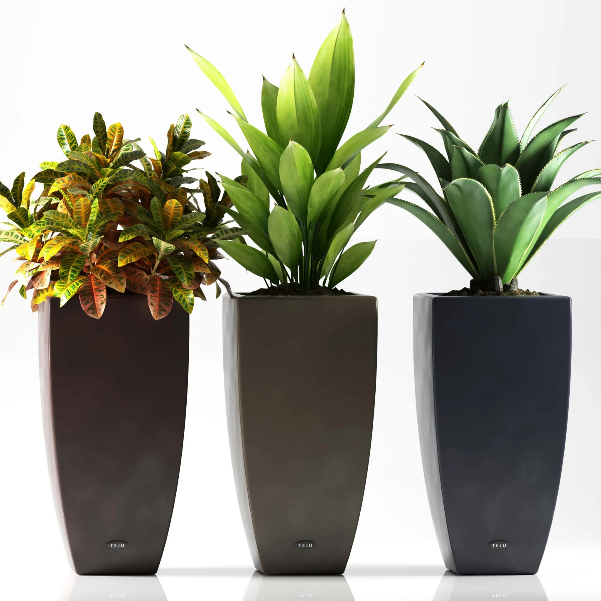 decoration – Plants 088 3ds Max