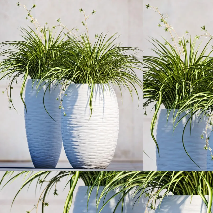 decoration – Plants 100 3ds Max