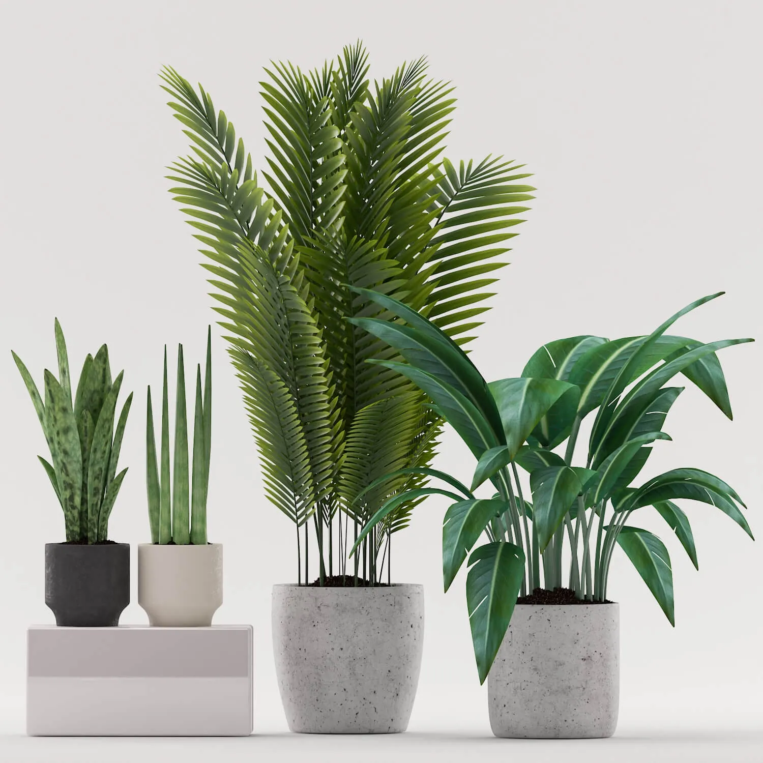 decoration – Plants 101.1 3ds Max