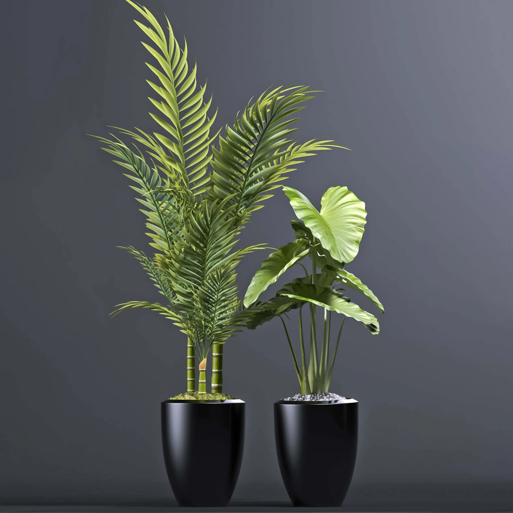 decoration – Plants 102 3ds Max