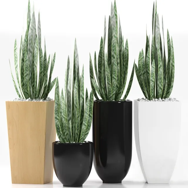 decoration – Plants 103 3ds Max