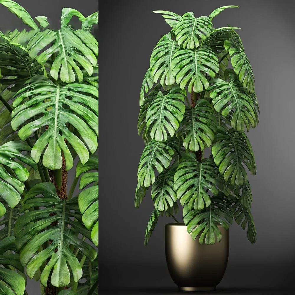 decoration – Plants 105 3ds Max