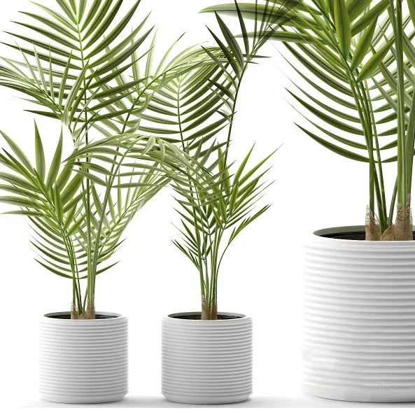 decoration – Plants 109 3ds Max