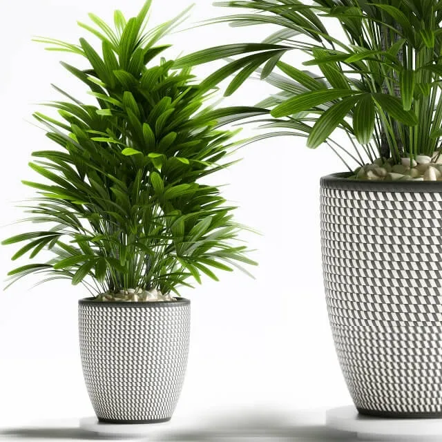 decoration – Plants  112 3ds Max