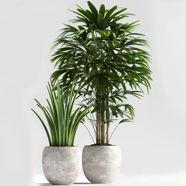 decoration – Plants 114 3ds Max