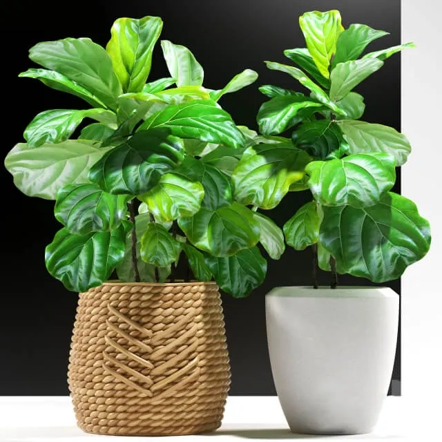 decoration – Plants 115 3ds Max