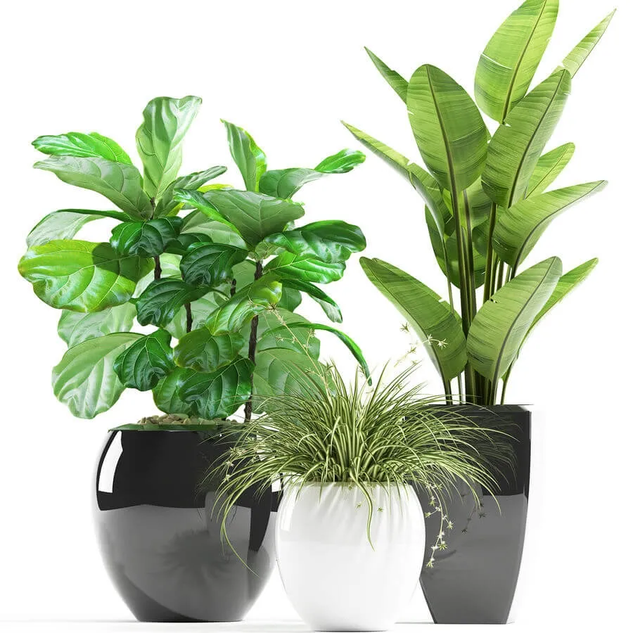 decoration – Plants 119 3ds Max