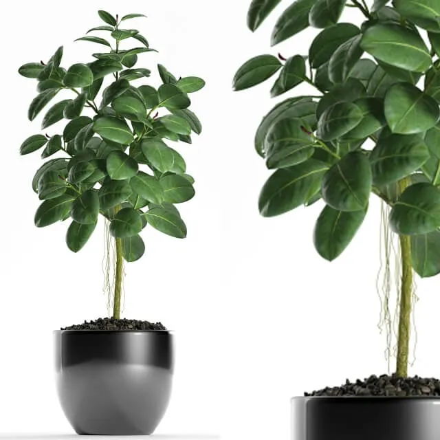 decoration – Plants 122 3ds Max