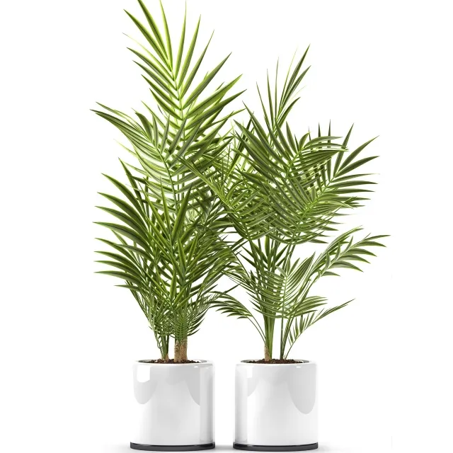 decoration – Plants 123 3ds Max