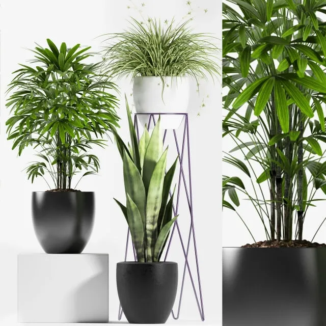 decoration – Plants 125 3ds Max