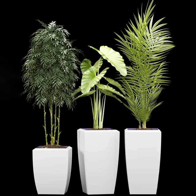 decoration – Plants 127 3ds Max