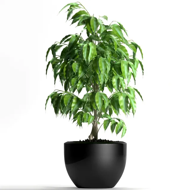 decoration – Plants 128 3ds Max