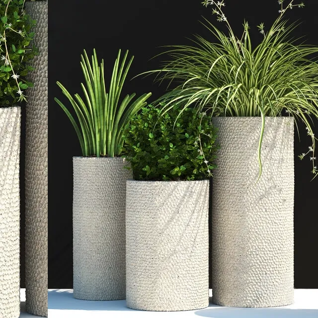 decoration – Plants 129 3ds Max