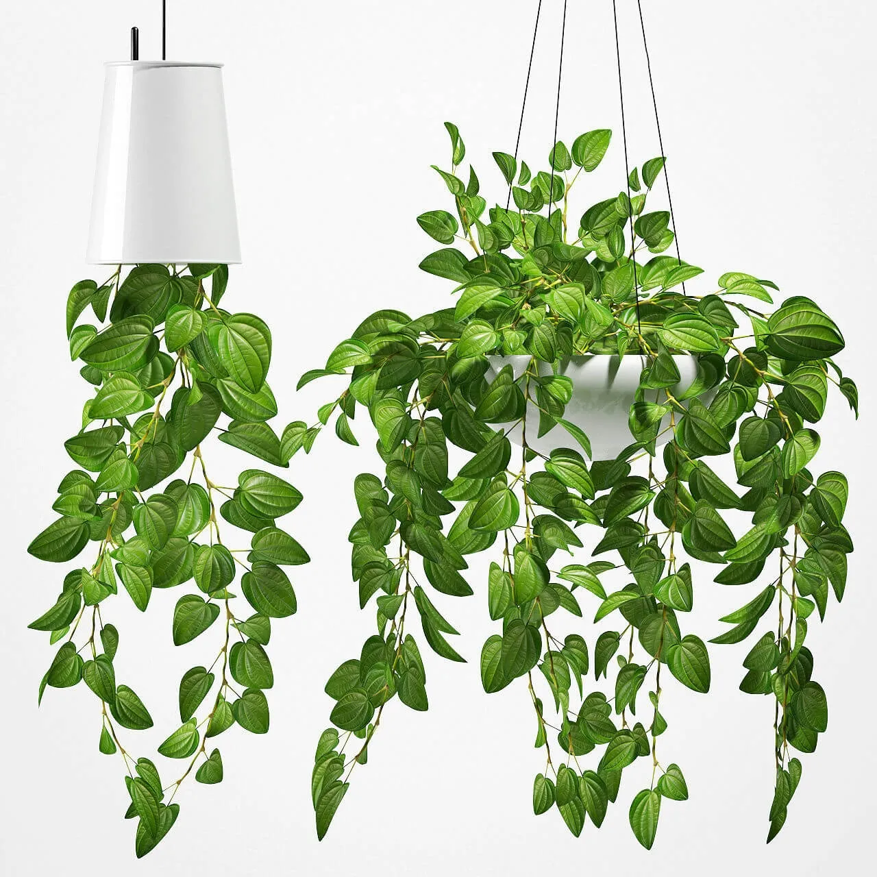 decoration – Plants 131 3ds Max