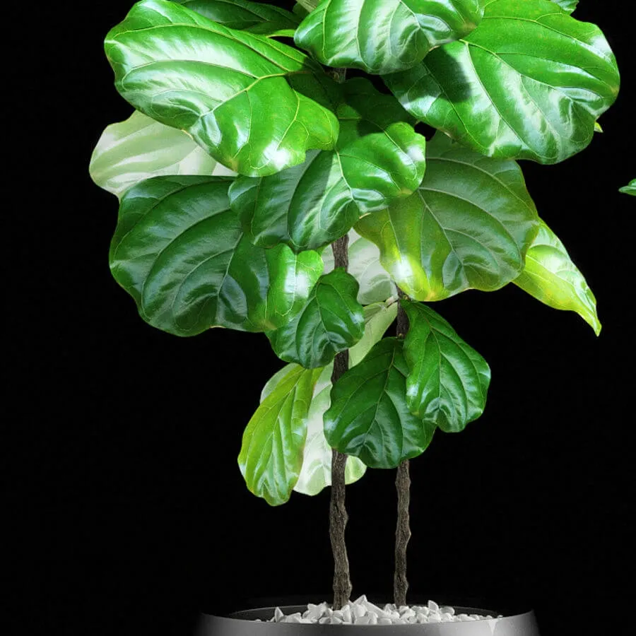 decoration – Plants 133 3ds Max