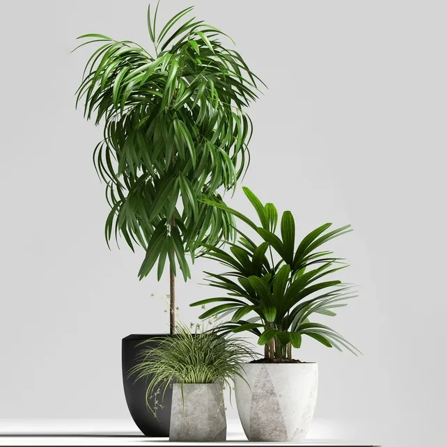 decoration – Plants 134 3ds Max